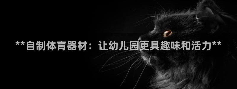 尊龙官网地址：**自制体育器材：让幼儿园更具趣味和活