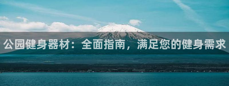 尊龙凯时平台有没有不到账的：公园健身器材：全面指南，