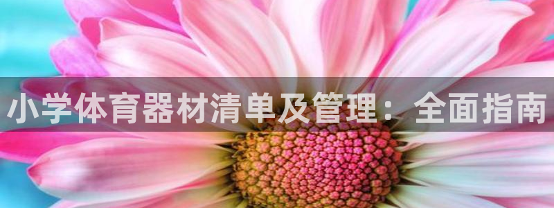 尊龙实业有限公司属于国企吗：小学体育器材清单及管理：