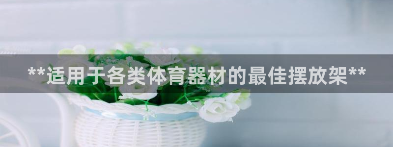 尊龙凯时能不能提现?：**适用于各类体育器材的最佳摆