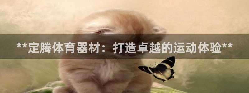 尊龙官方身高：**定腾体育器材：打造卓越的运动体验*
