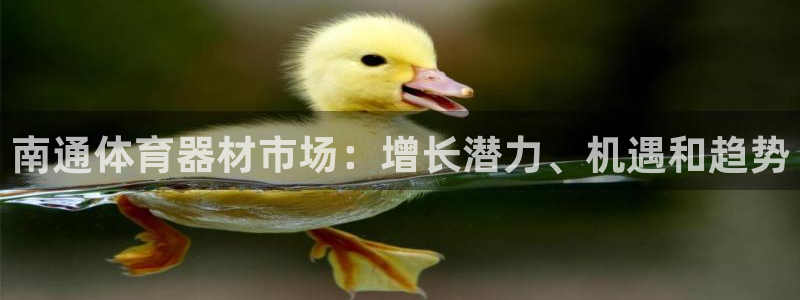 尊龙d88平台：南通体育器材市场：增长潜力、机遇和趋