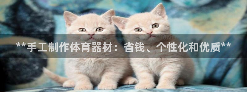 尊龙凯时平台信誉怎样：**手工制作体育器材：省钱、个