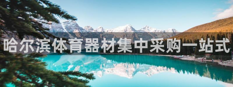 尊龙凯时电竞注册：哈尔滨体育器材集中采购一站式