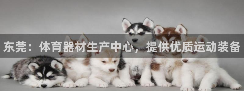 z6尊龙凯时ag旗舰厅：东莞：体育器材生产中心，提供