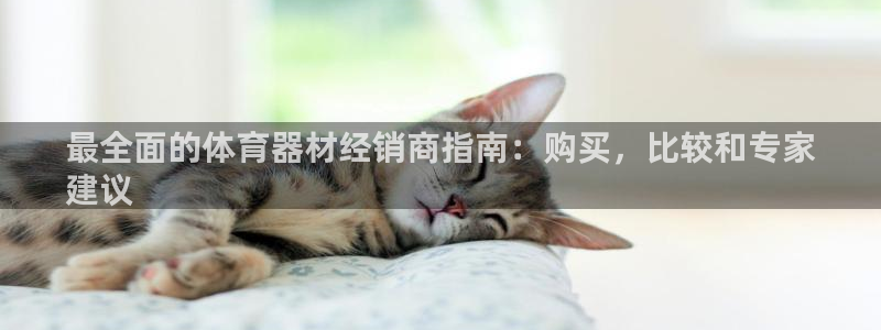 尊龙 6：最全面的体育器材经销商指南：购买，比较和专
