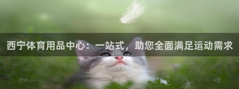 尊龙新版App下载