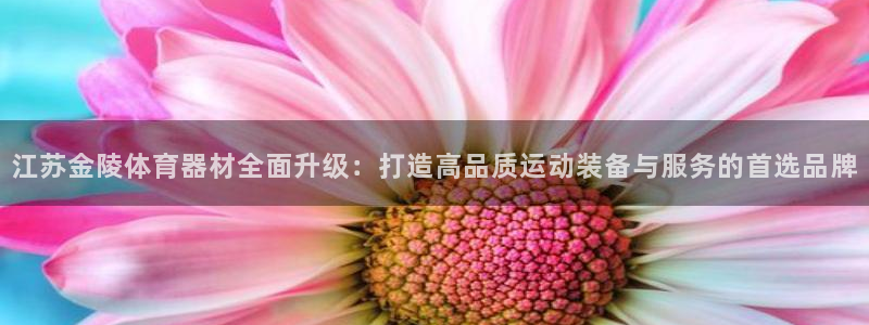 尊龙凯时城游戏官网