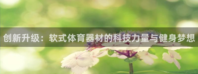 尊龙王t400