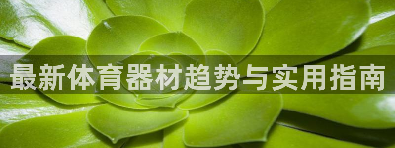 尊龙人生就是博d88官方网站