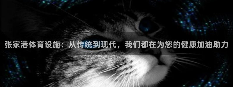 凯时网址多少