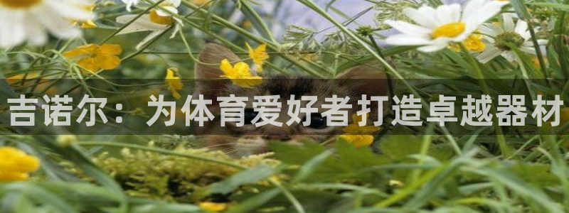 尊龙凯时取钱很慢：吉诺尔：为体育爱好者打造卓越器材