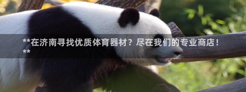 尊龙凯时输钱的原因：**在济南寻找优质体育器材？尽在